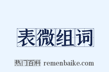 表微组词是什么意思的图片